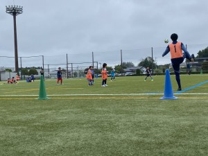 IMG_9485